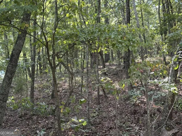 $75,000 | 0 Cagle Road Northeast, Rydal, GA 30171