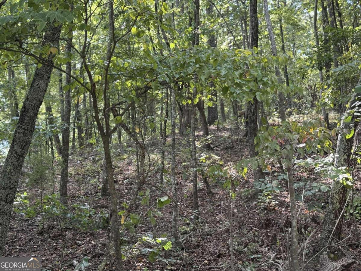 0 Cagle Road Northeast Rydal, GA 30171 - Photo 9 of 12