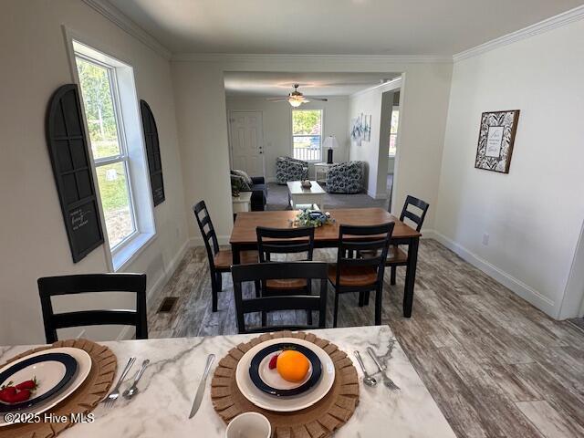 1014 High Point Avenue Southwest Calabash, NC 28467 - Photo 9 of 16