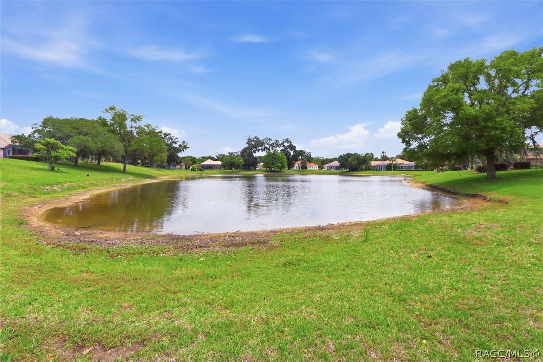 1239 West Beagle Run Loop Hernando, FL 34442 - Photo 40 of 55