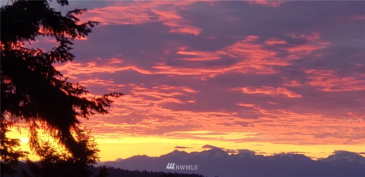 2604 Madrona Point Lane Steilacoom, WA 98388 - Photo 25 of 25 a view of a sky