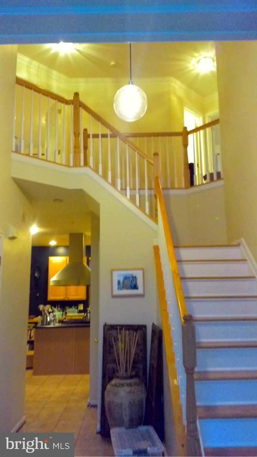Interior (General)
