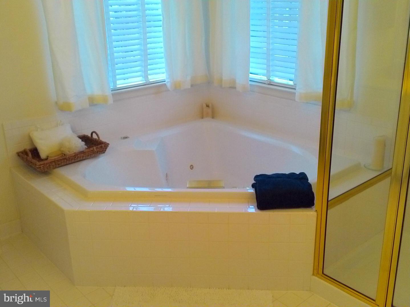 10201 Waterwell Way Laurel, MD 20708 - Photo 14 of 30 Bath (Master)