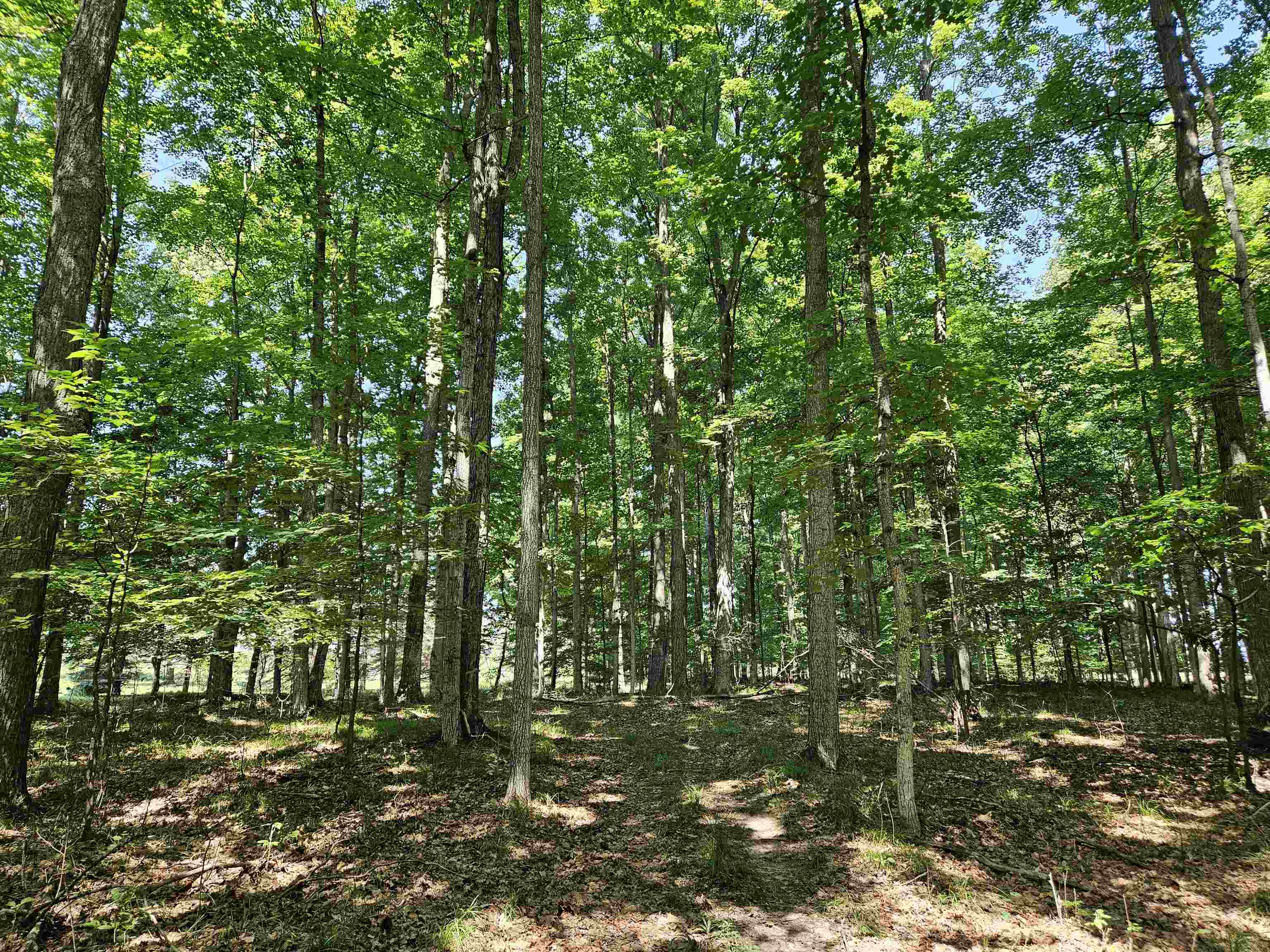 Tbd Tbd Willsey Road Traverse City, MI 49696 - Photo 12 of 22