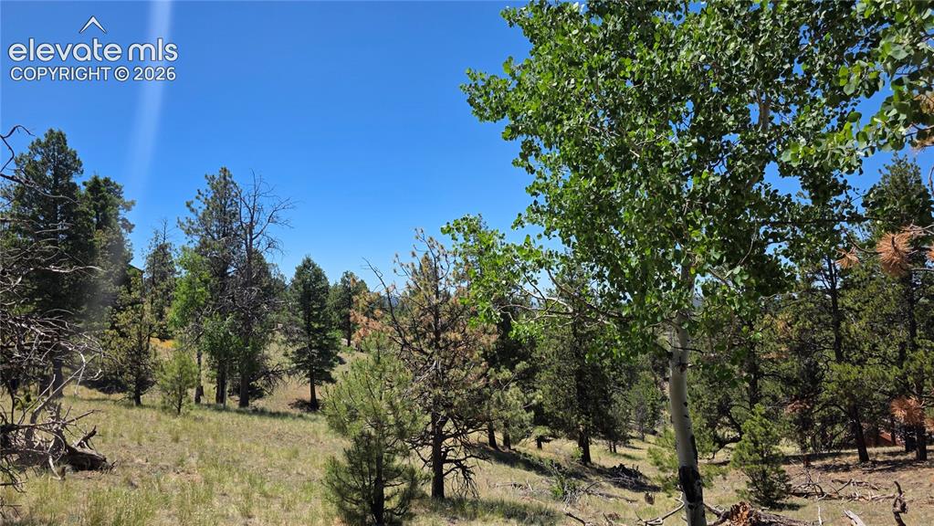 1366 North Mountain Estates Road Florissant, CO 80816 - Photo 13 of 16
