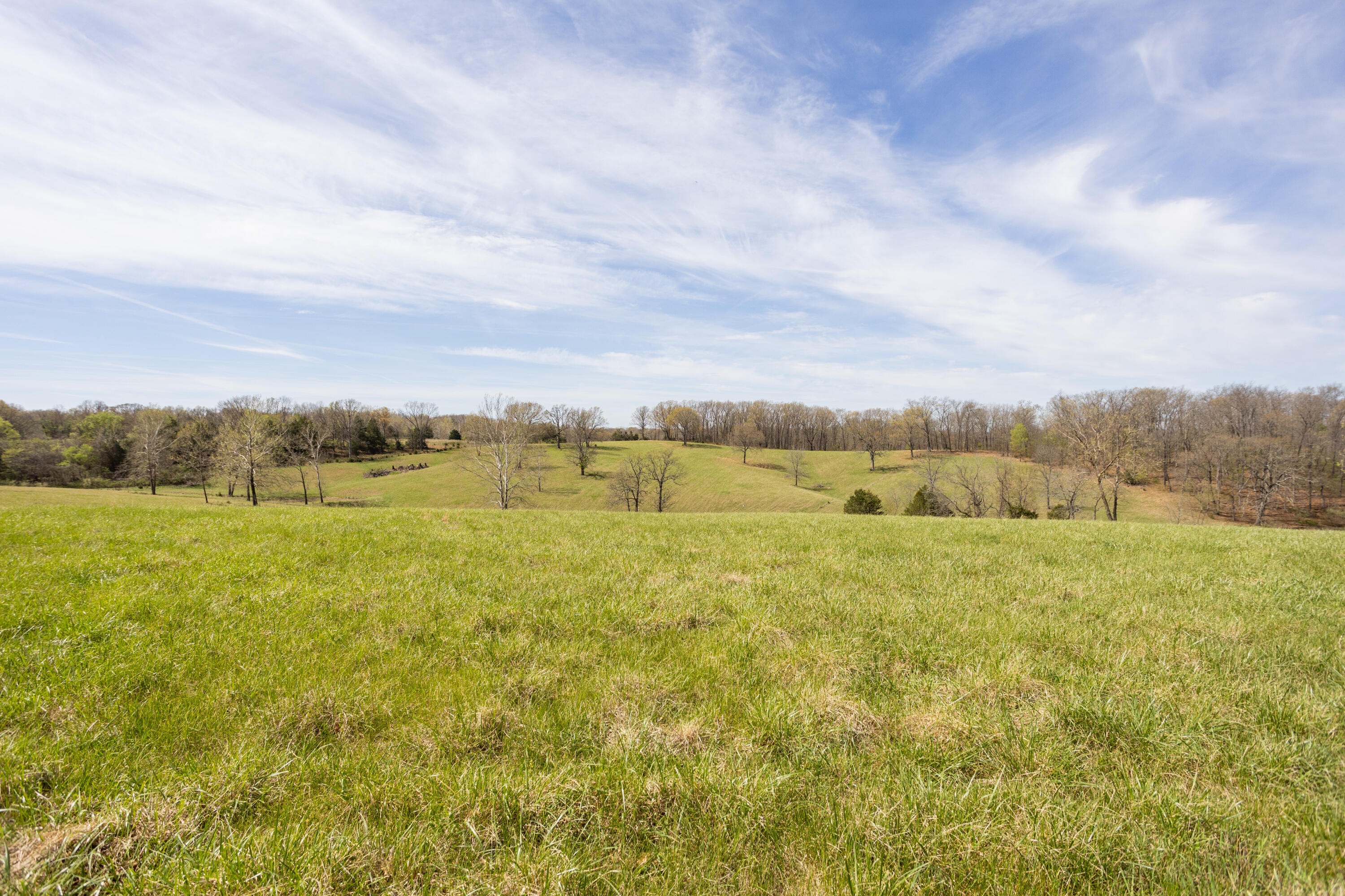 9795 Co Road Ava, MO 65608 - Photo 78 of 93 Douglas198(MLSRES)-56