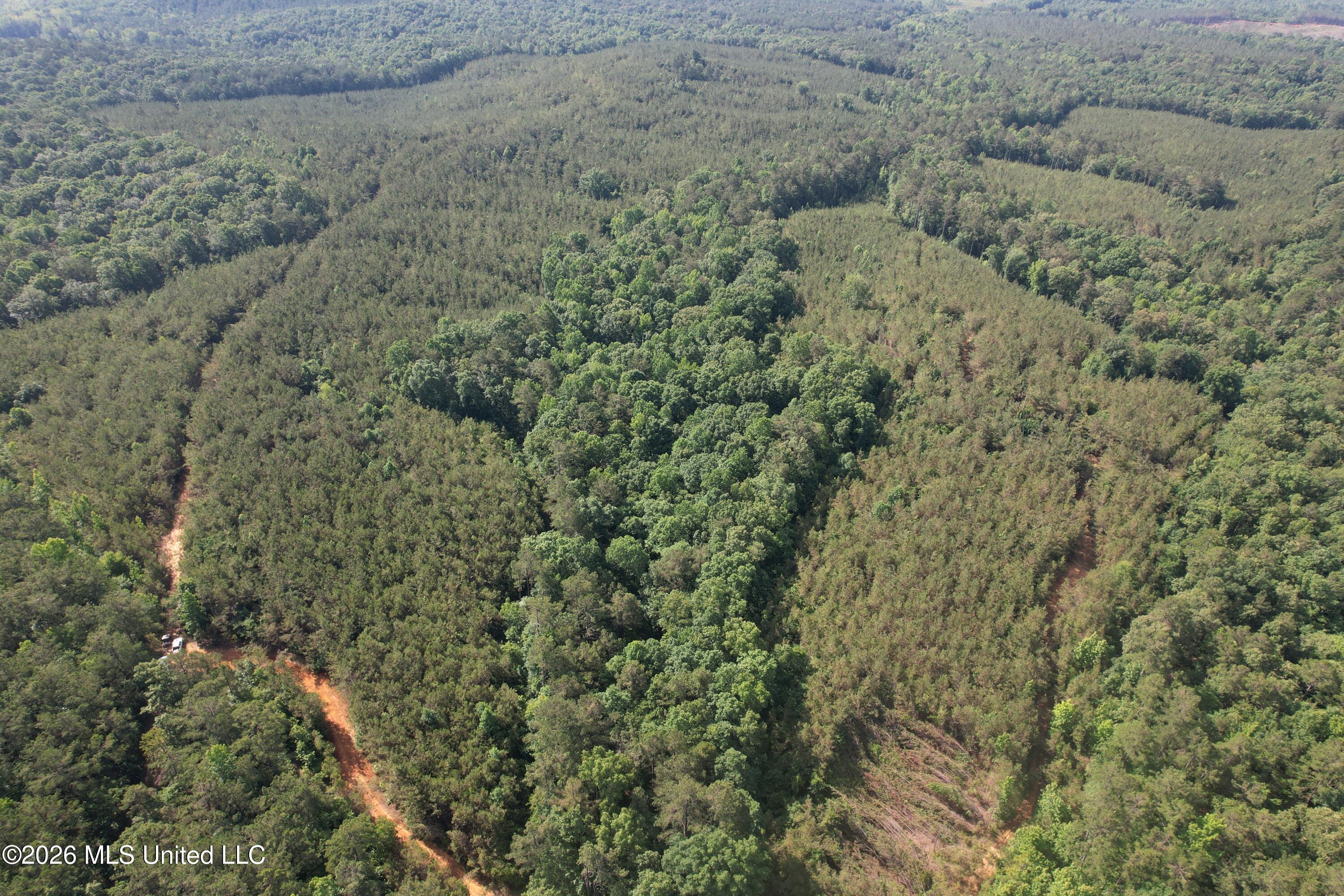 Tom Mans Road Vaiden, MS 39176 - Photo 1 of 12 DJI_0325