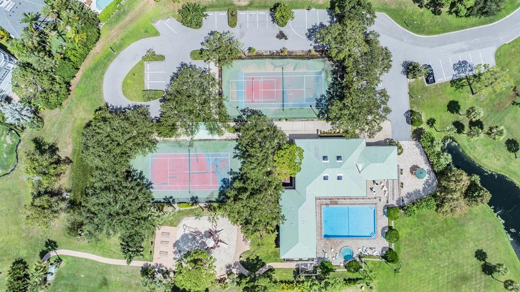 2118 Harbour Watch Drive Tarpon Springs, FL 34689 - Photo 15 of 59