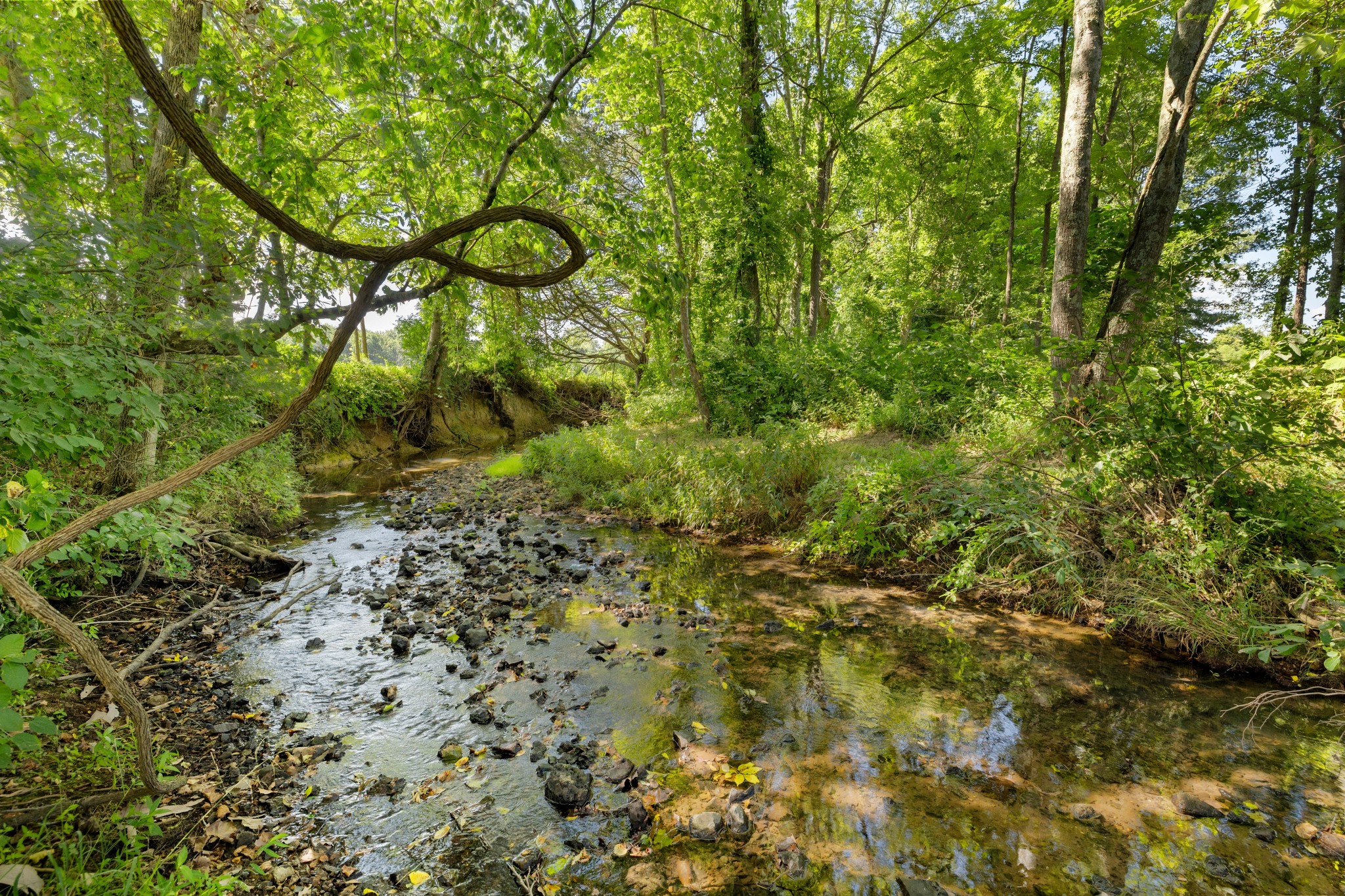 1556 Chestnut Grove Road Morrison, TN 37357 - Photo 43 of 58