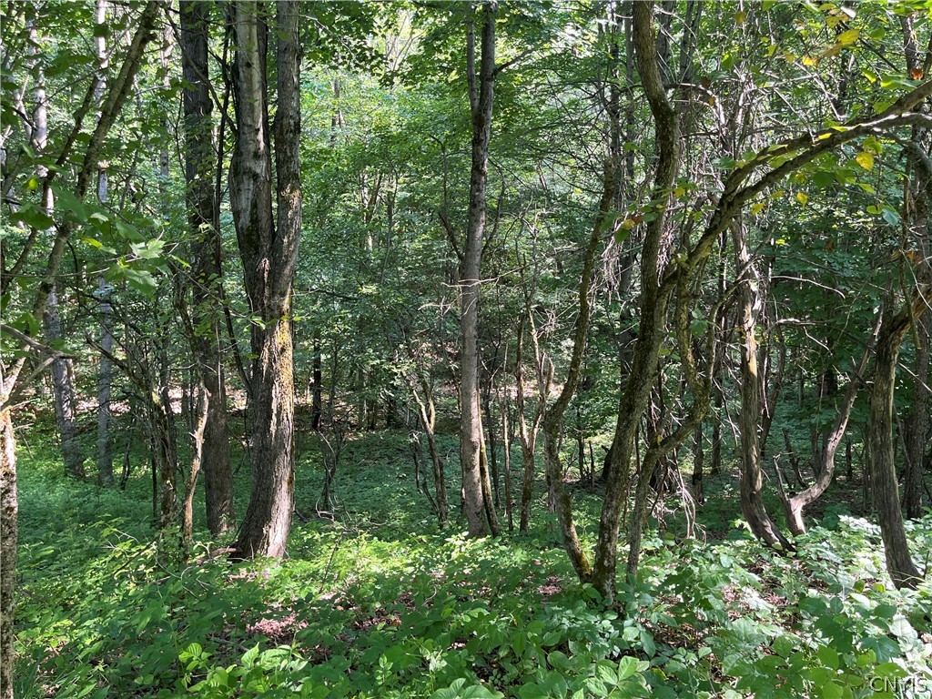 Center Road Lacona, NY 13083 - Photo 18 of 38