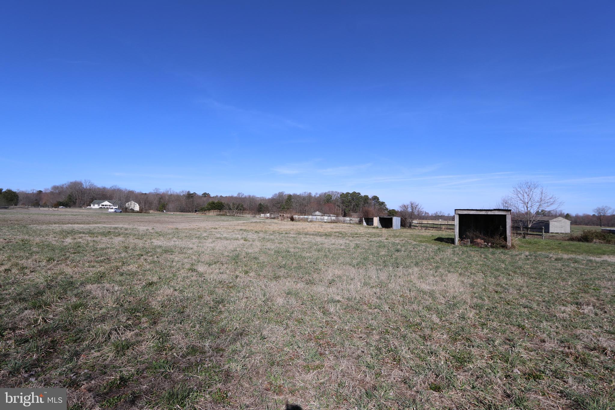 11580 Holly Road Ridgely, MD 21660 - Photo 9 of 15 Gallery Image 9