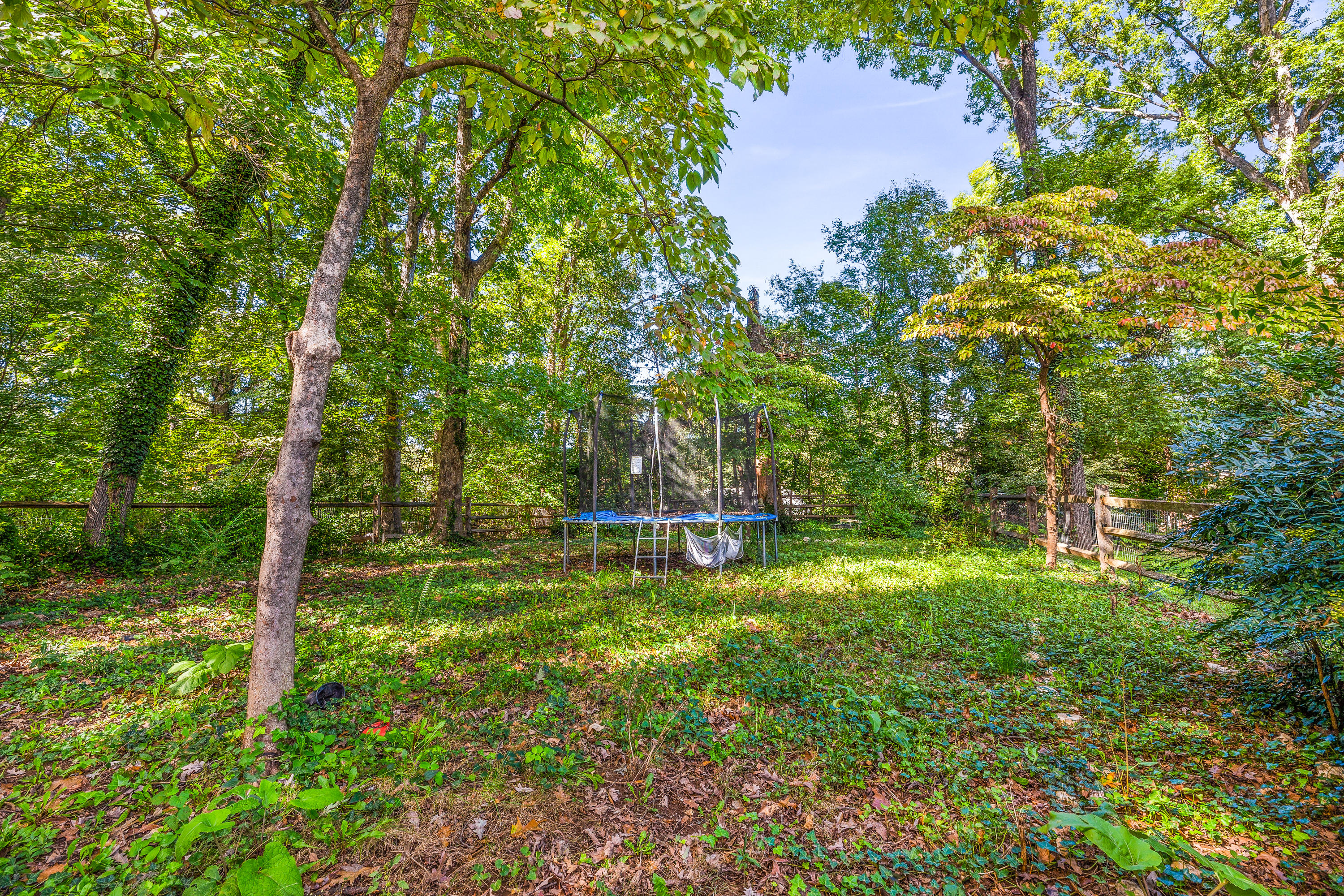 2019 Carter Road Southwest Roanoke, VA 24015 - Photo 4 of 31 Home offers Off Street Parking