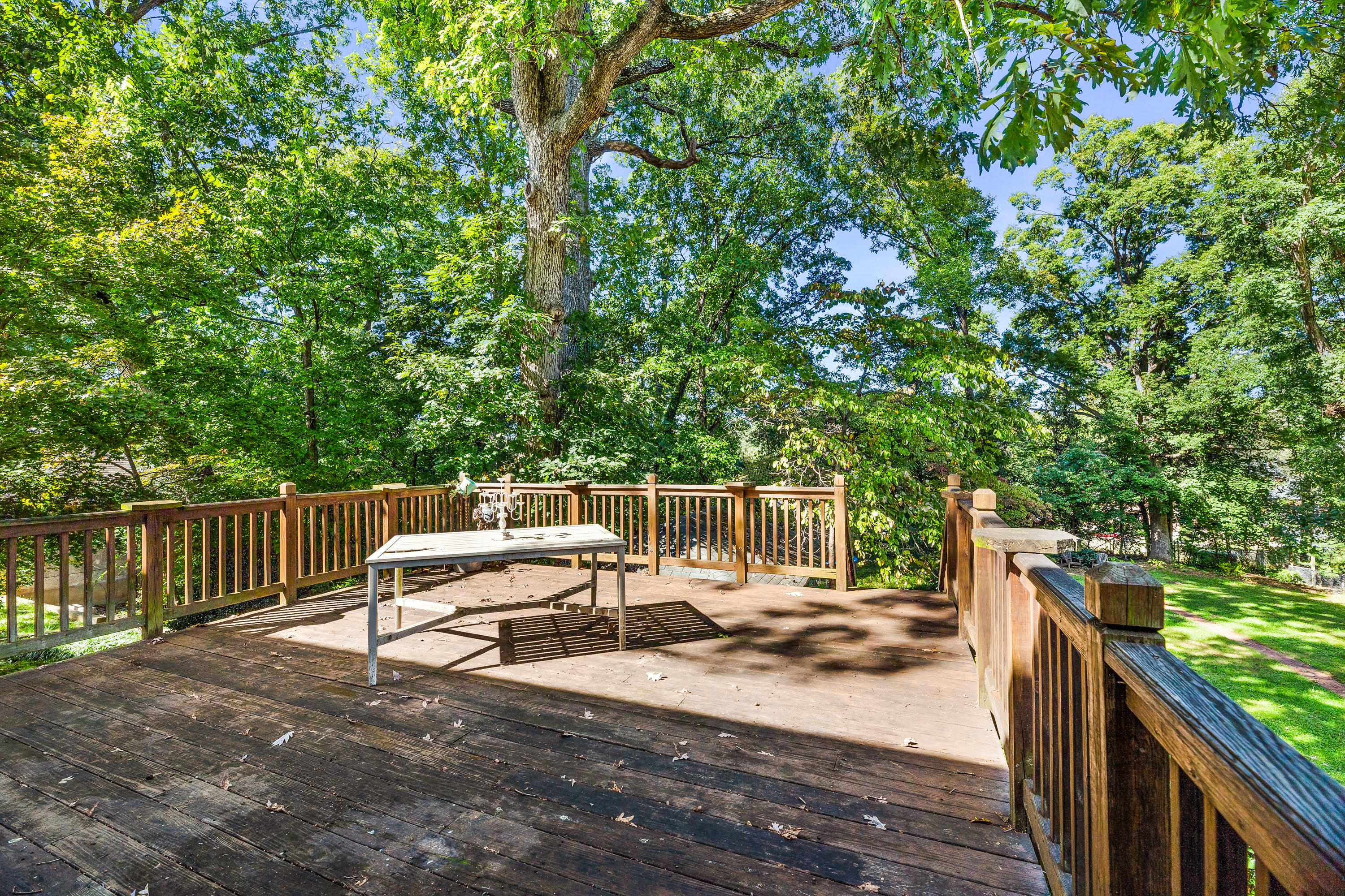 2019 Carter Road Southwest Roanoke, VA 24015 - Photo 5 of 31 Great Outdoor Space