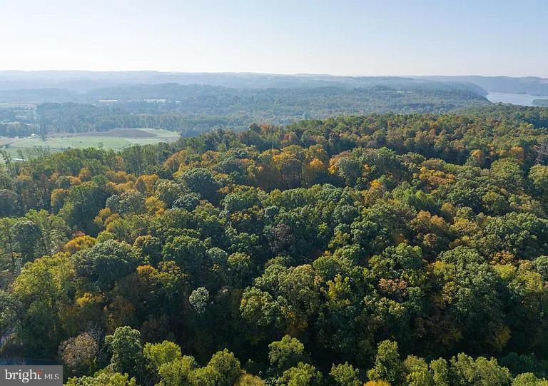 58 Buck Run Road Conestoga, PA 17516 - Photo 18 of 20