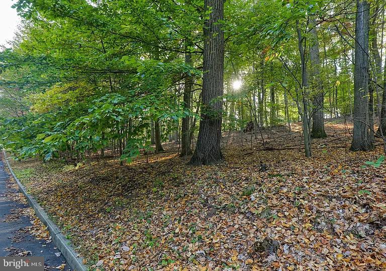 58 Buck Run Road Conestoga, PA 17516 - Photo 2 of 20