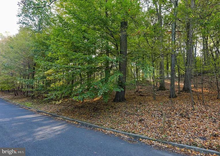 58 Buck Run Road Conestoga, PA 17516 - Photo 3 of 20