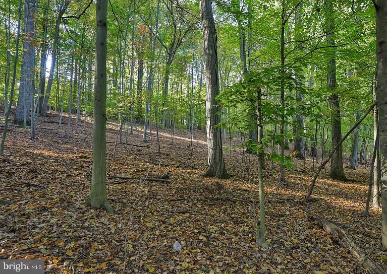 58 Buck Run Road Conestoga, PA 17516 - Photo 7 of 20