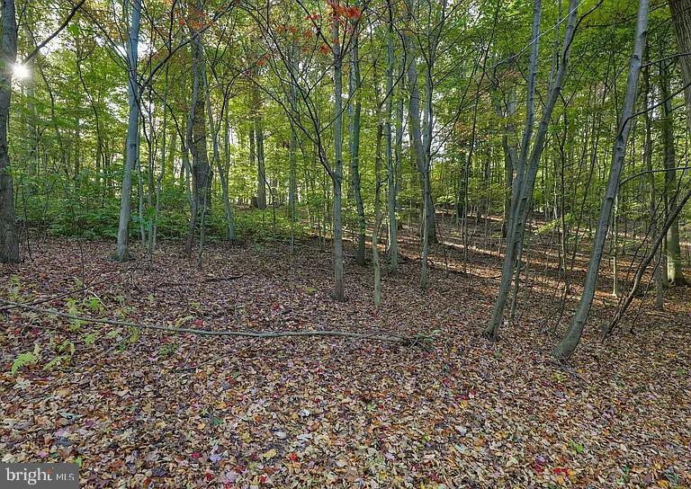 58 Buck Run Road Conestoga, PA 17516 - Photo 8 of 20