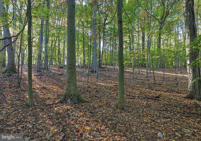 58 Buck Run Road Conestoga, PA 17516 - Photo 9 of 20