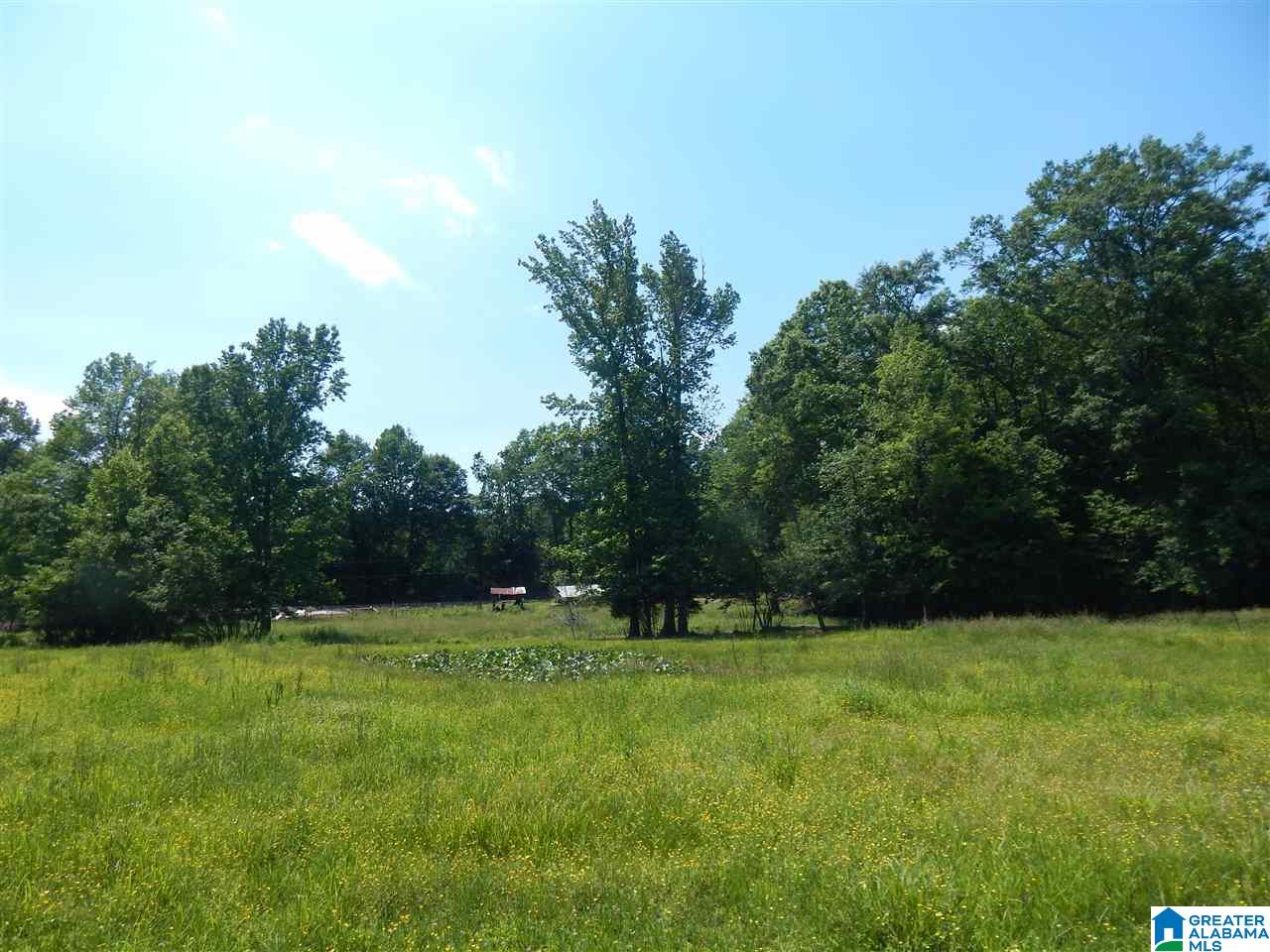 417 Old Stagecoach Road Woodstock, AL 35188 - Photo 13 of 17