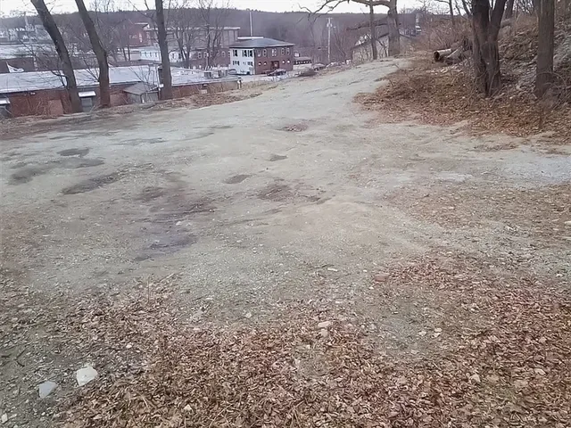 a view of a dry yard with trees