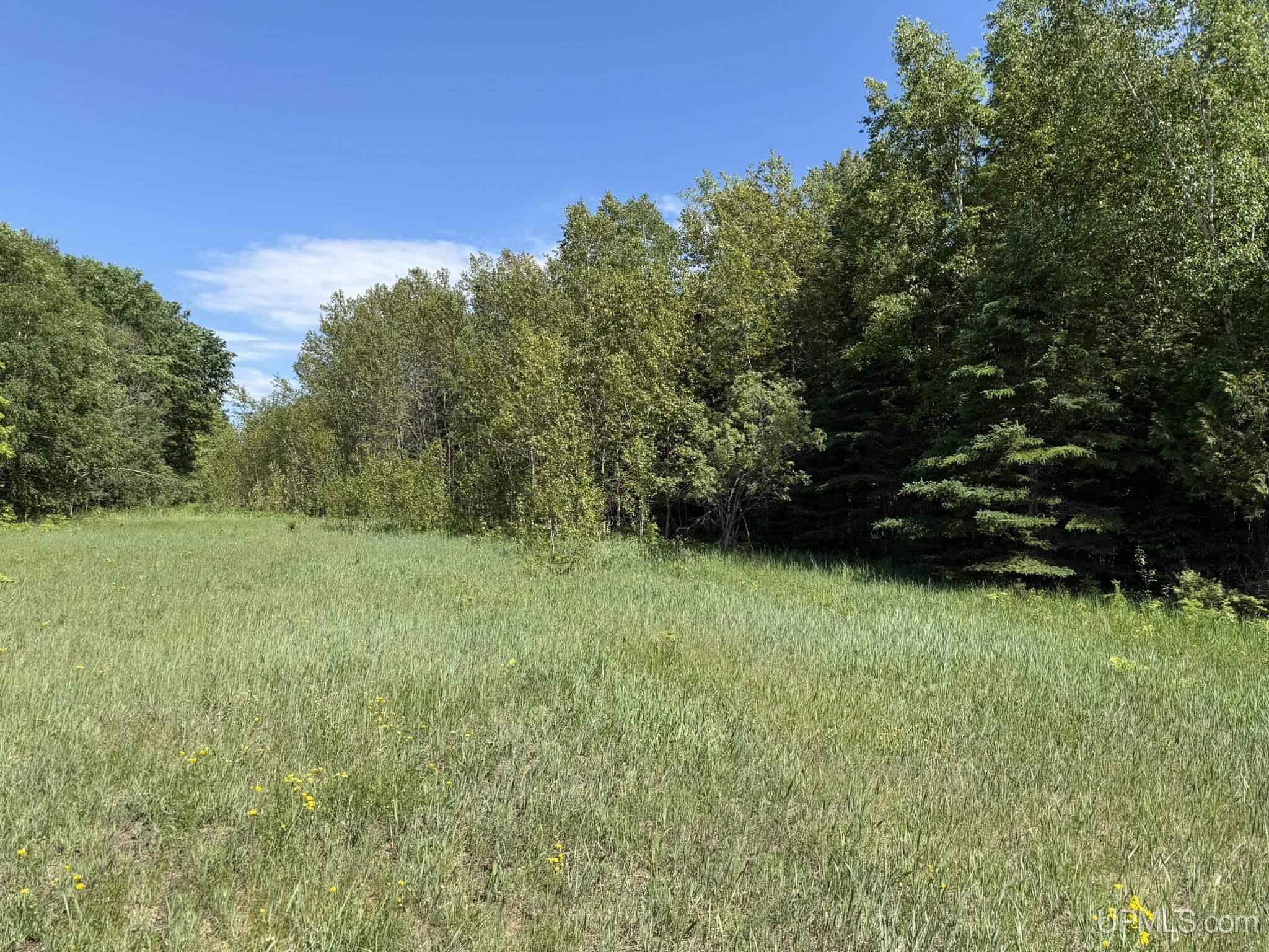 H33 Rd Gould City Mi 49838 Road Gould City, MI 49838 - Photo 6 of 14