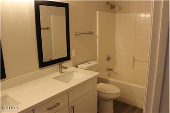 13402 East Boston Street Chandler, AZ 85225 - Photo 17 of 19 a bathroom with a sink toilet and shower