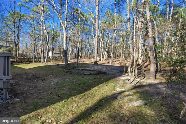 a view of backyard with green space