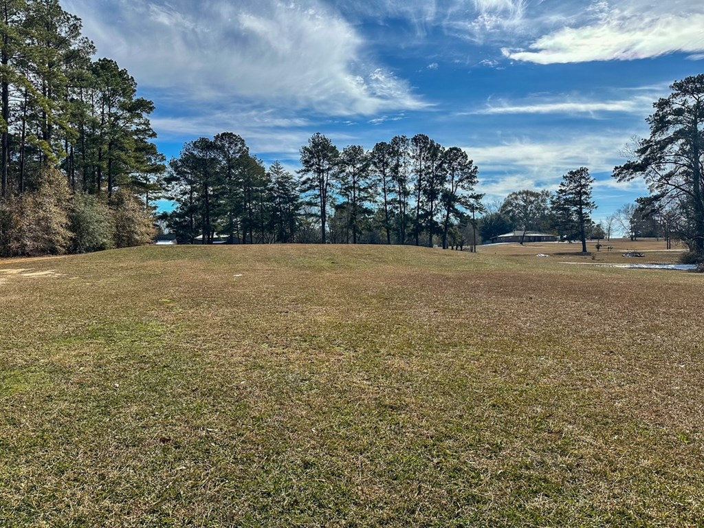 1045 Barrett Drive Summit, MS 39666 - Photo 19 of 23 Photo 19