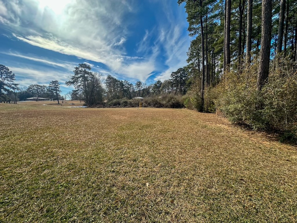 1045 Barrett Drive Summit, MS 39666 - Photo 21 of 23 Photo 21