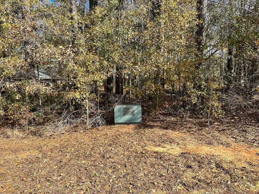 1045 Barrett Drive Summit, MS 39666 - Photo 23 of 23 Photo 23