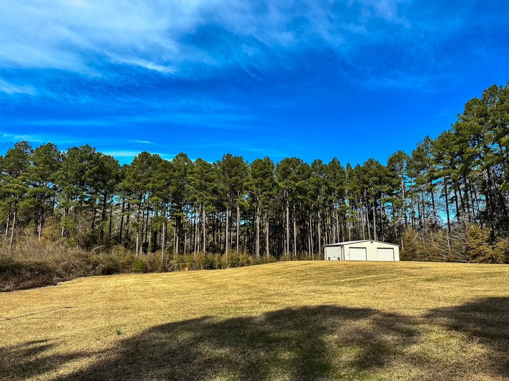 1045 Barrett Drive Summit, MS 39666 - Photo 3 of 23 Photo 3