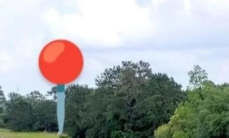 an aerial view of a house with swimming pool and trees