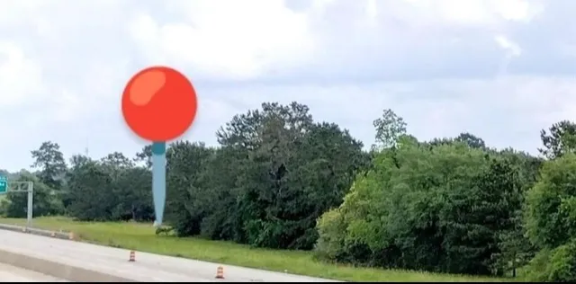 an aerial view of a house with swimming pool and trees in the background