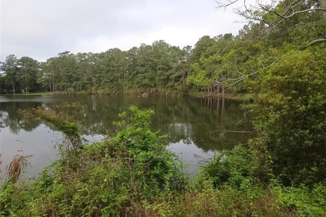 a view of a lake in middle of forest