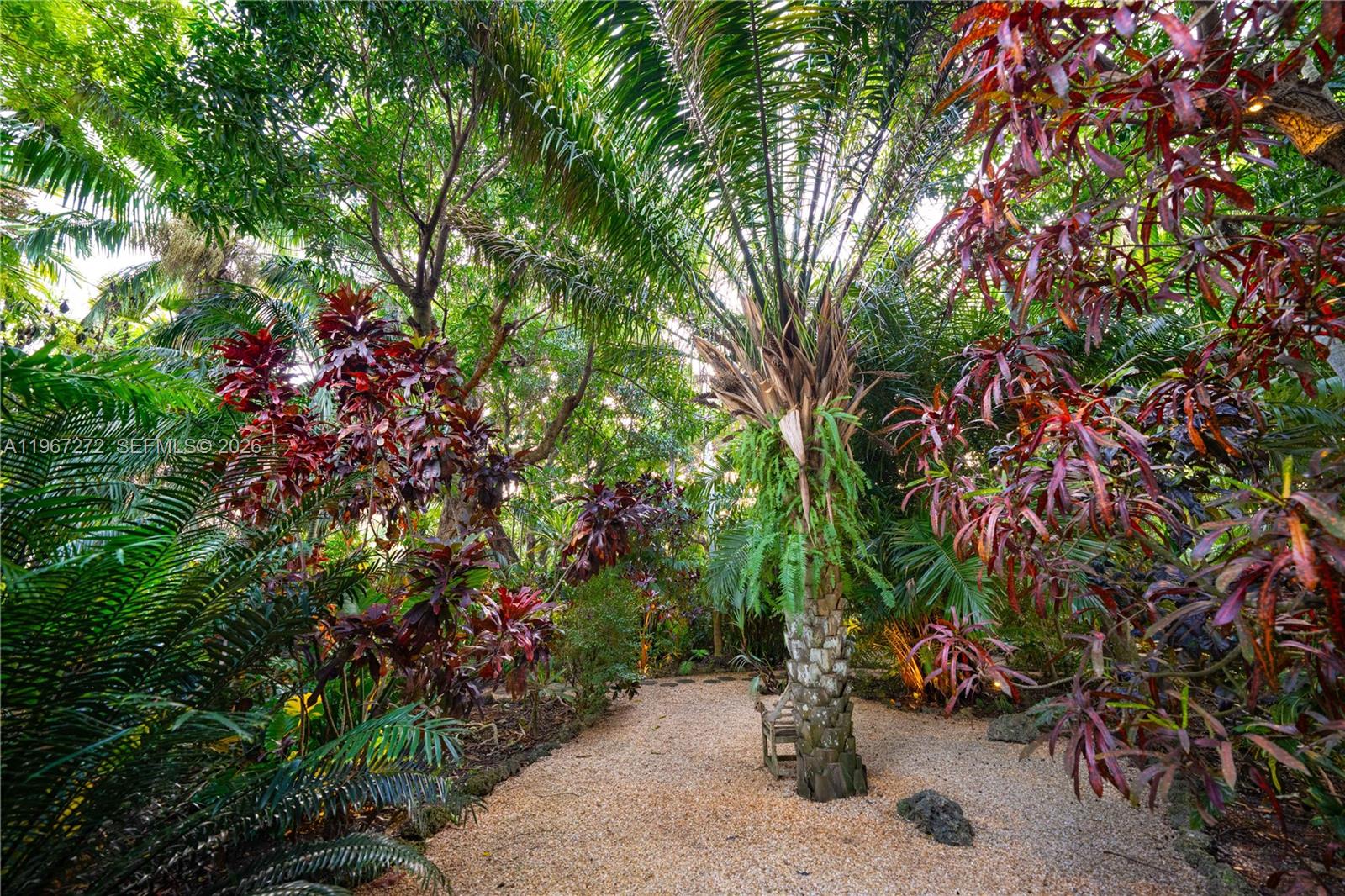 4867 Southwest 82nd Street Miami, FL 33143 - Photo 18 of 69 a view of a garden with plants