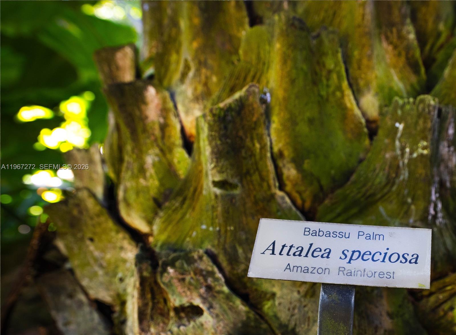 4867 Southwest 82nd Street Miami, FL 33143 - Photo 21 of 69 a sign of a park