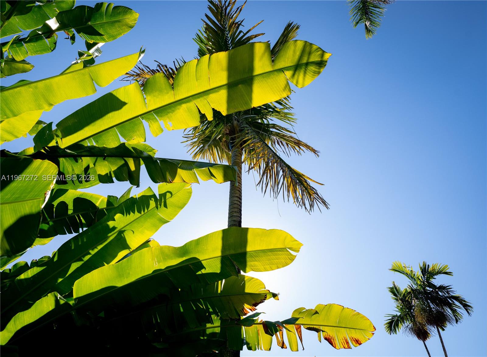 4867 Southwest 82nd Street Miami, FL 33143 - Photo 23 of 69