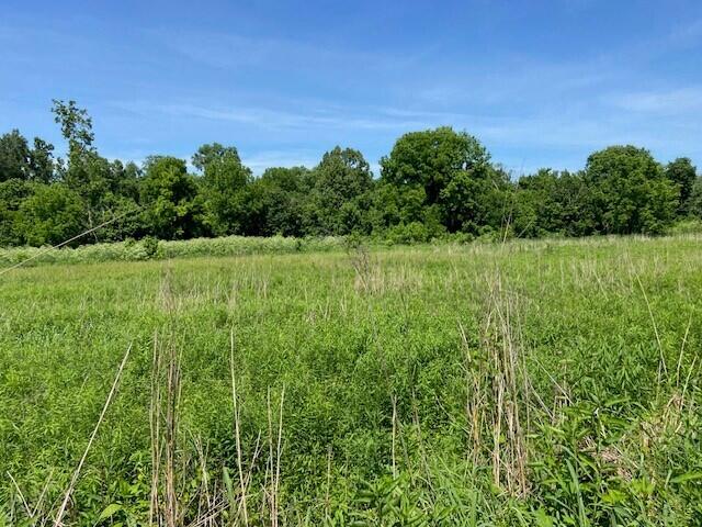 113 Lee's Creek Road Dover, KY 41034 - Photo 12 of 30 5