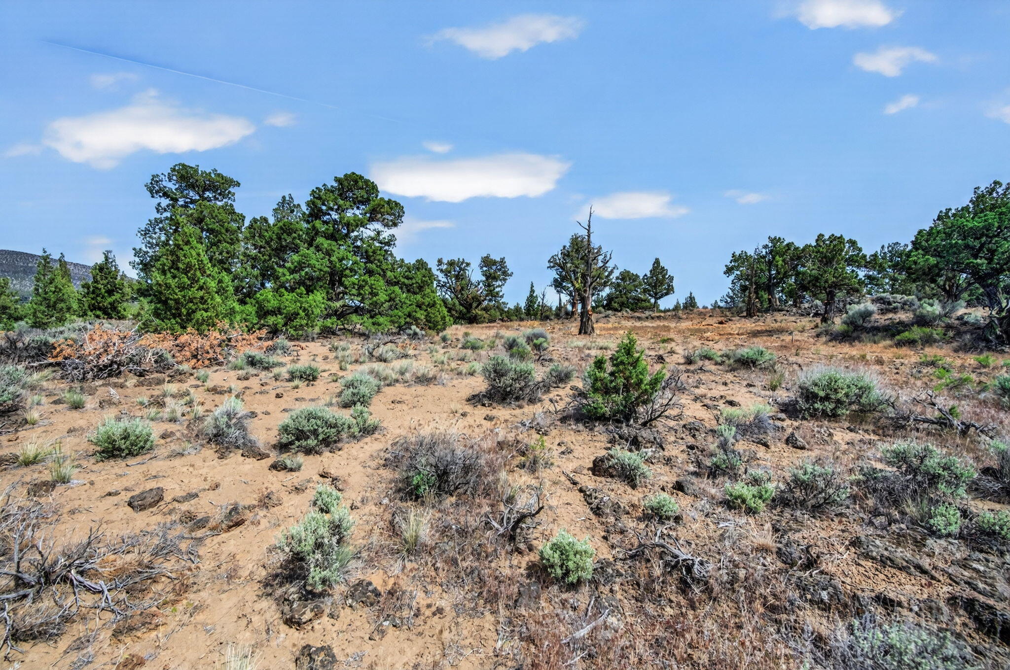 16129 Southwest Corral Court Powell Butte, OR 97753 - Photo 8 of 30 2026_05_20_16129_sw_corral_ct_lot-7