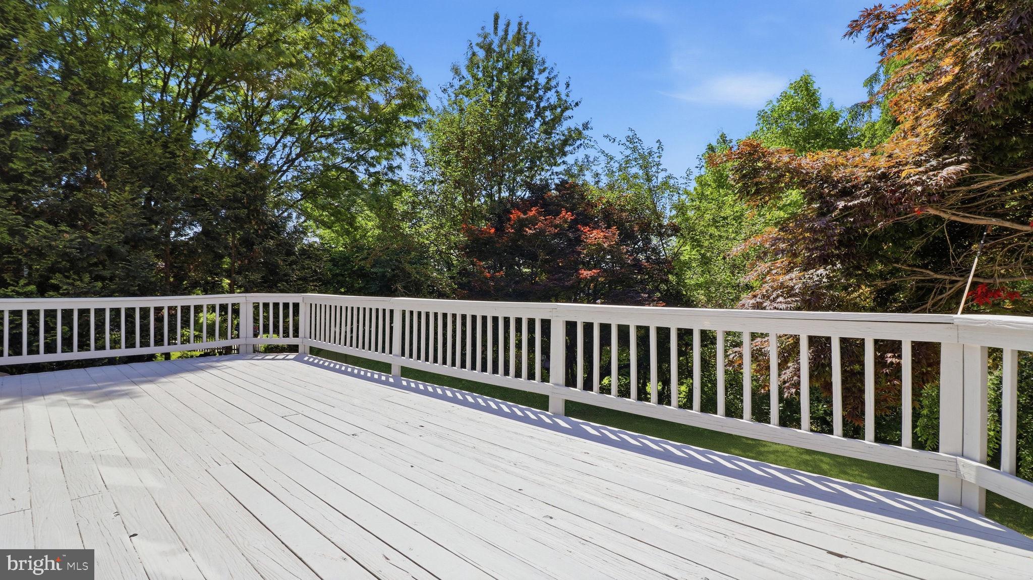 11708 Galt Avenue Silver Spring, MD 20902 - Photo 3 of 25 Serene deck overlooking lush greenery.