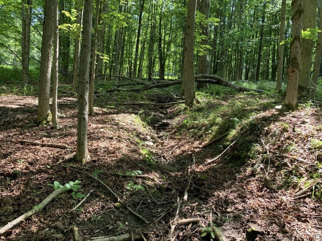 0 Rohr Hill Road East Otto, NY 14729 - Photo 10 of 16 Gallery Image 10