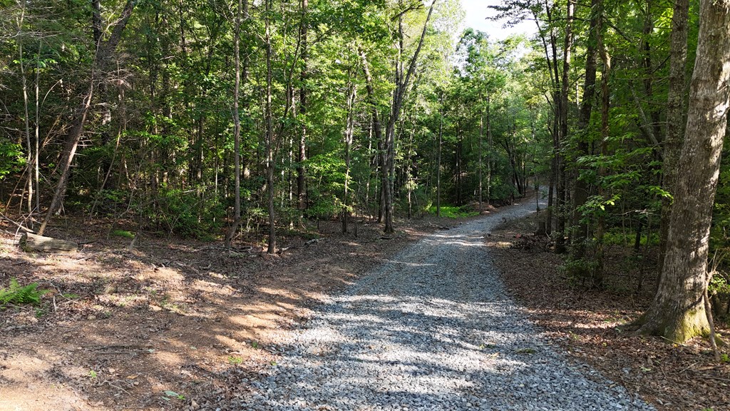 2.40 East New Hope Road Ellijay, GA 30540 - Photo 8 of 10 Gallery Image 8