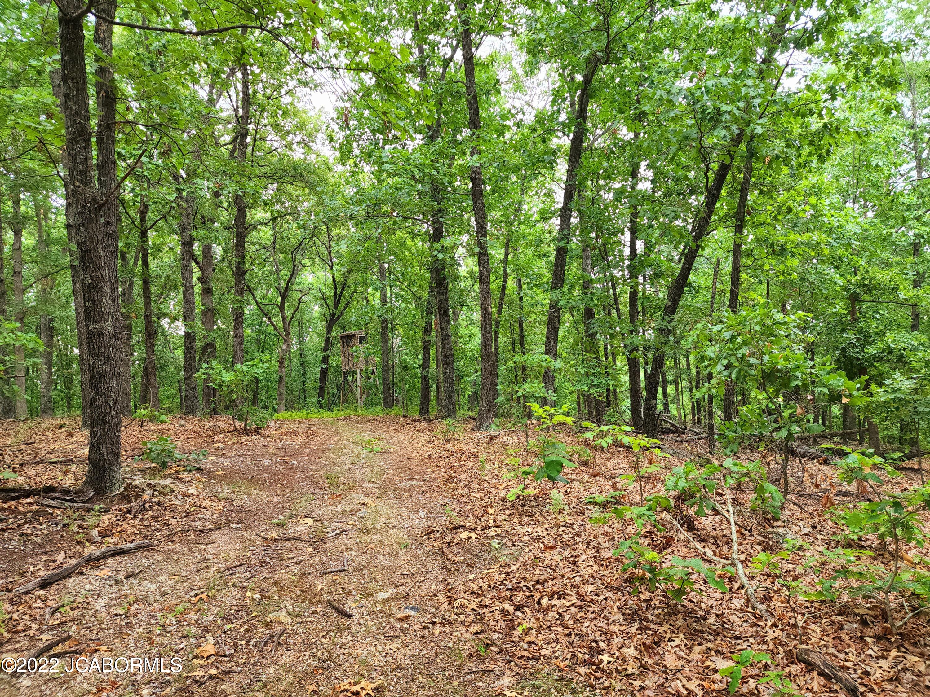 Lot Seven Copperstone Road Camdenton, MO 65020 - Photo 5 of 5