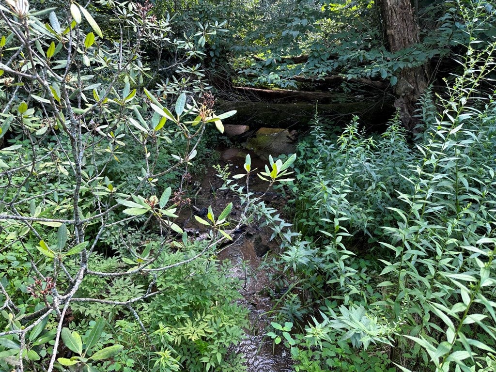 143 Volunteer Ridge Trail Fancy Gap, VA 24328 - Photo 33 of 33 Gallery Image 33