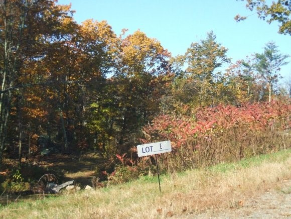 E Scanlon Way Newfields, NH 03586 - Photo 1 of 1