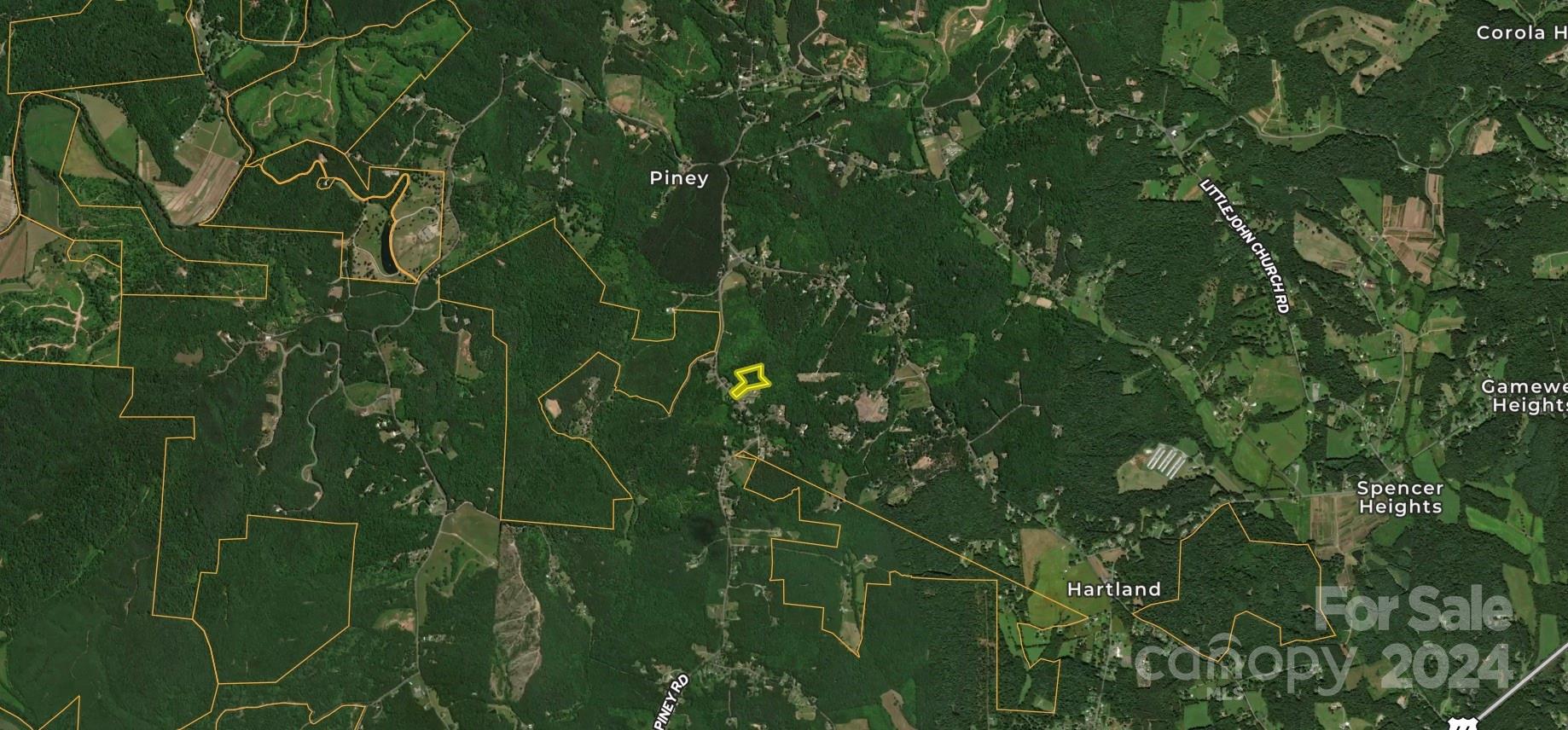 0 Piney Road Morganton, NC 28655 - Photo 4 of 4 a close up of a plant in a garden