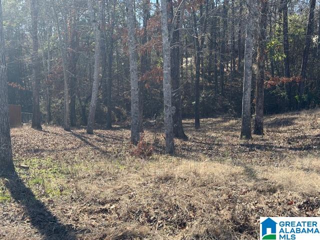 316 Sterling Manor Circle, Unit 15 Alabaster, AL 35007 - Photo 2 of 6