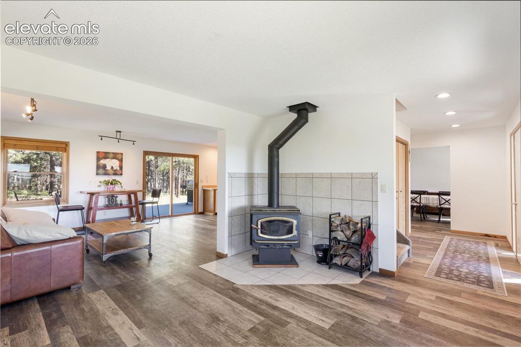 18673 Elbert Road Elbert, CO 80106 - Photo 7 of 29 Family/living