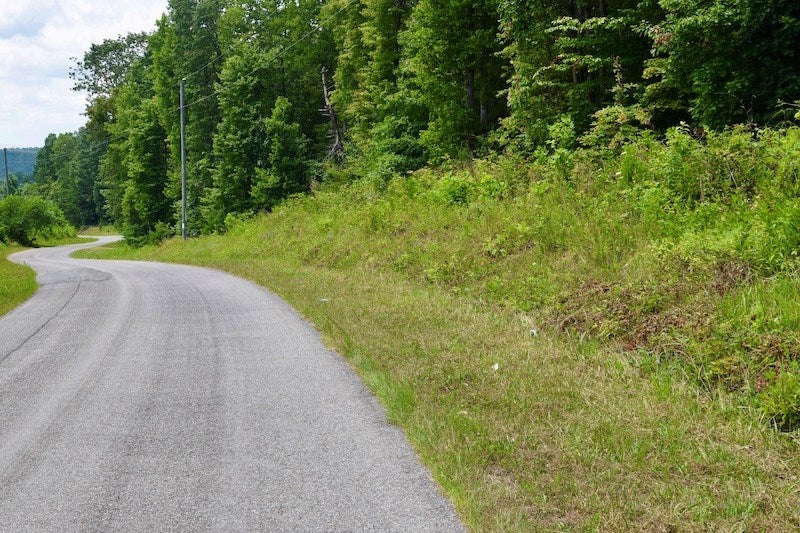 Swelling Road Ferrum, VA 24088 - Photo 45 of 46 Gallery Image 45